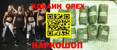 индика Лесосибирск