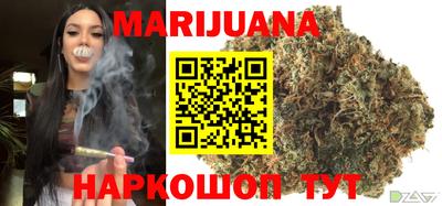 индика Лесосибирск