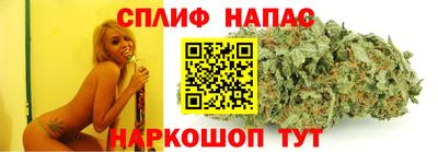 индика Лесосибирск