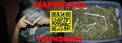 индика Лесосибирск