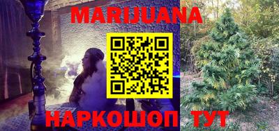 индика Лесосибирск